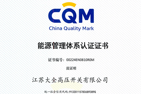 大全高压开关顺利通过2024年度管理体系认证审核-002.jpg