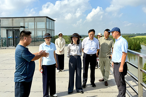 扬中市领导调研雷公岛秋粮生产-1.jpg
